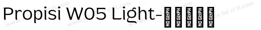 Propisi W05 Light字体转换